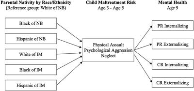 To Unfold the Immigrant Paradox: Maltreatment Risk and Mental Health of Racial-Ethnic Minority Children